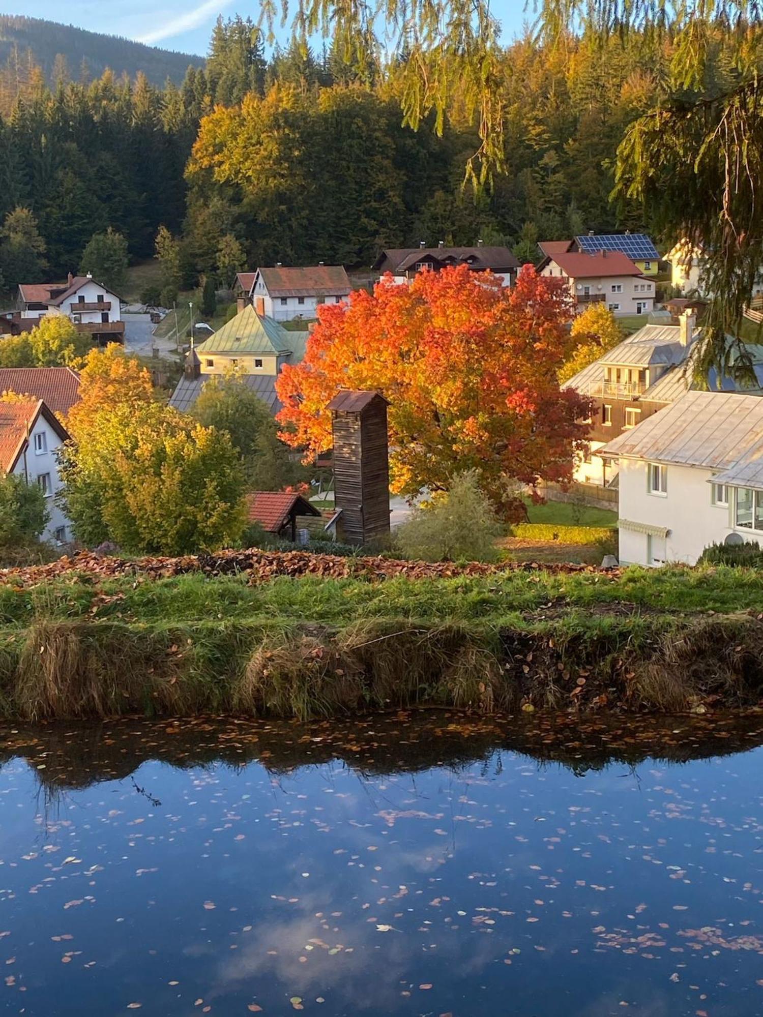 Das Alte Forsthaus Spiegelhuette Lindberg Eksteriør bilde